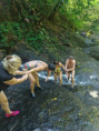 /album/fotogaleria-karibik-island-hopping-zajezd-vy-a-my/island-hopping-zajazd-00-62-jpg1/